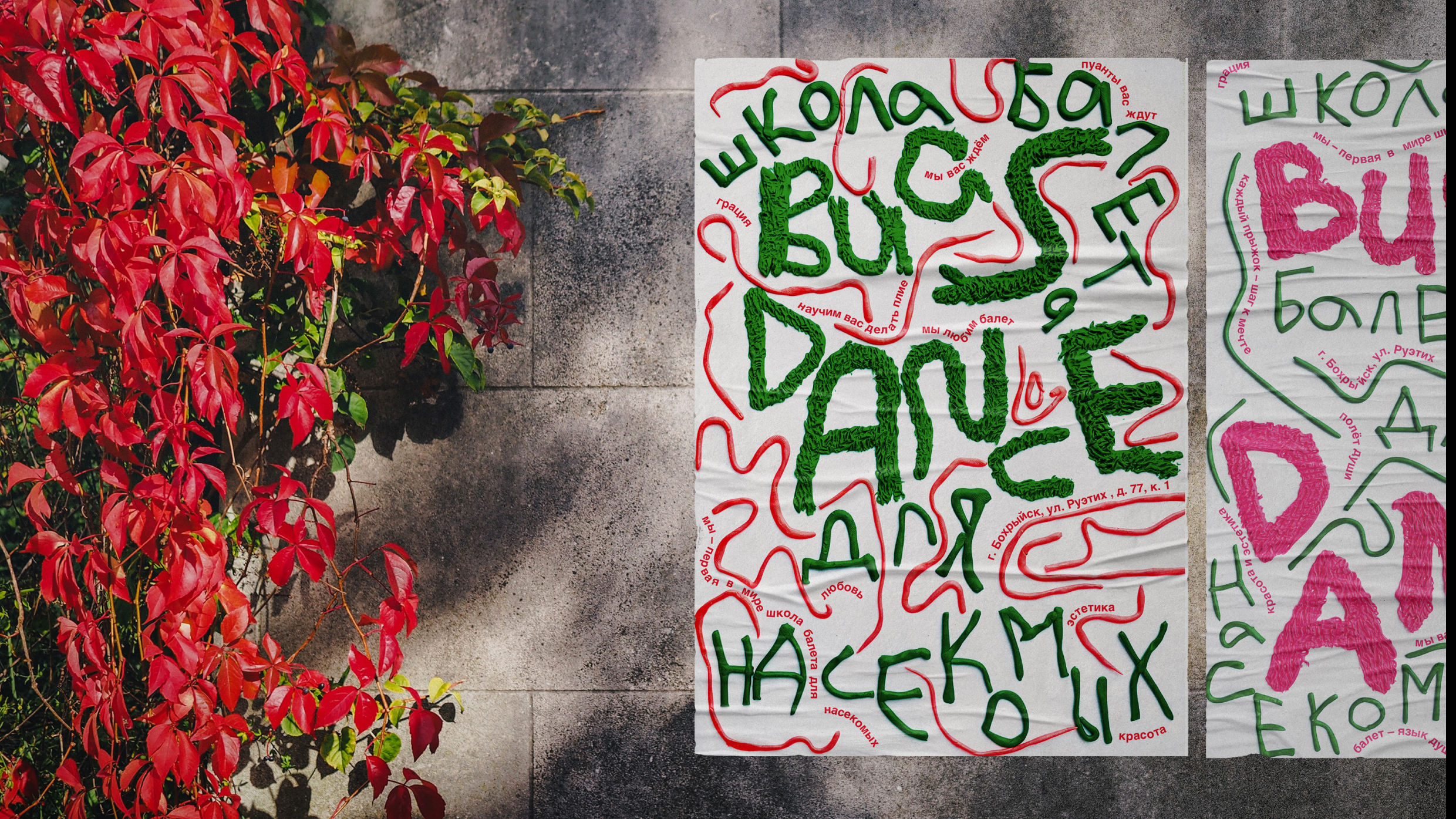 Серии плакатов школы балета для насекомых BUGS DANCE — Изображение №11 — Брендинг, Графика на Dprofile