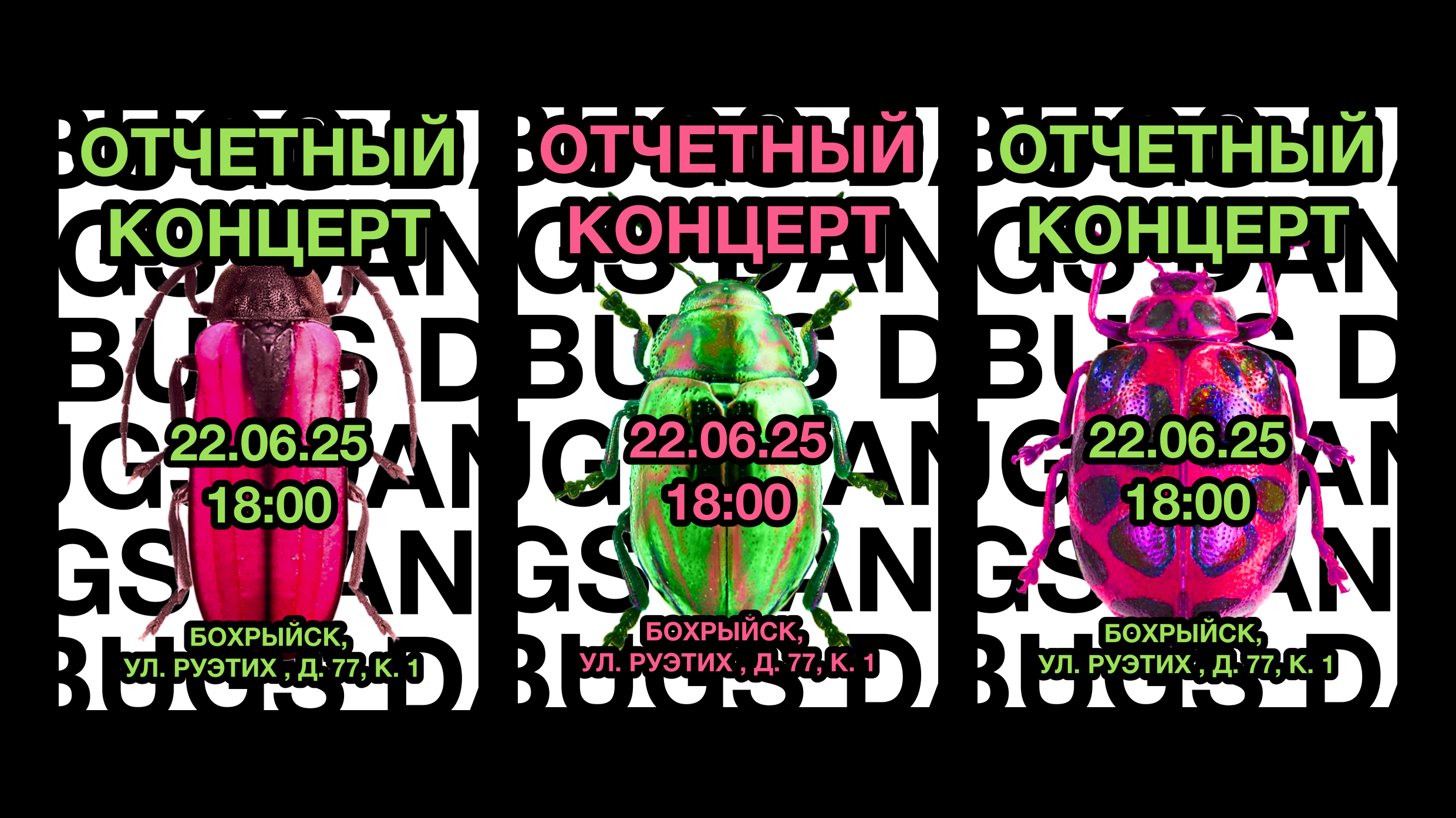 Серии плакатов школы балета для насекомых BUGS DANCE — Изображение №16 — Брендинг, Графика на Dprofile