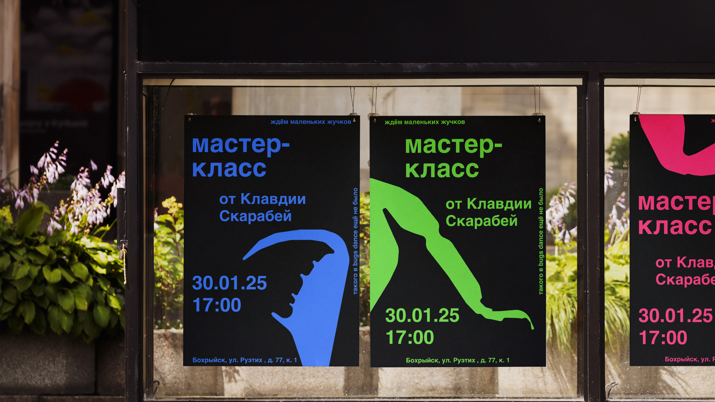 Серии плакатов школы балета для насекомых BUGS DANCE — Изображение №24 — Брендинг, Графика на Dprofile