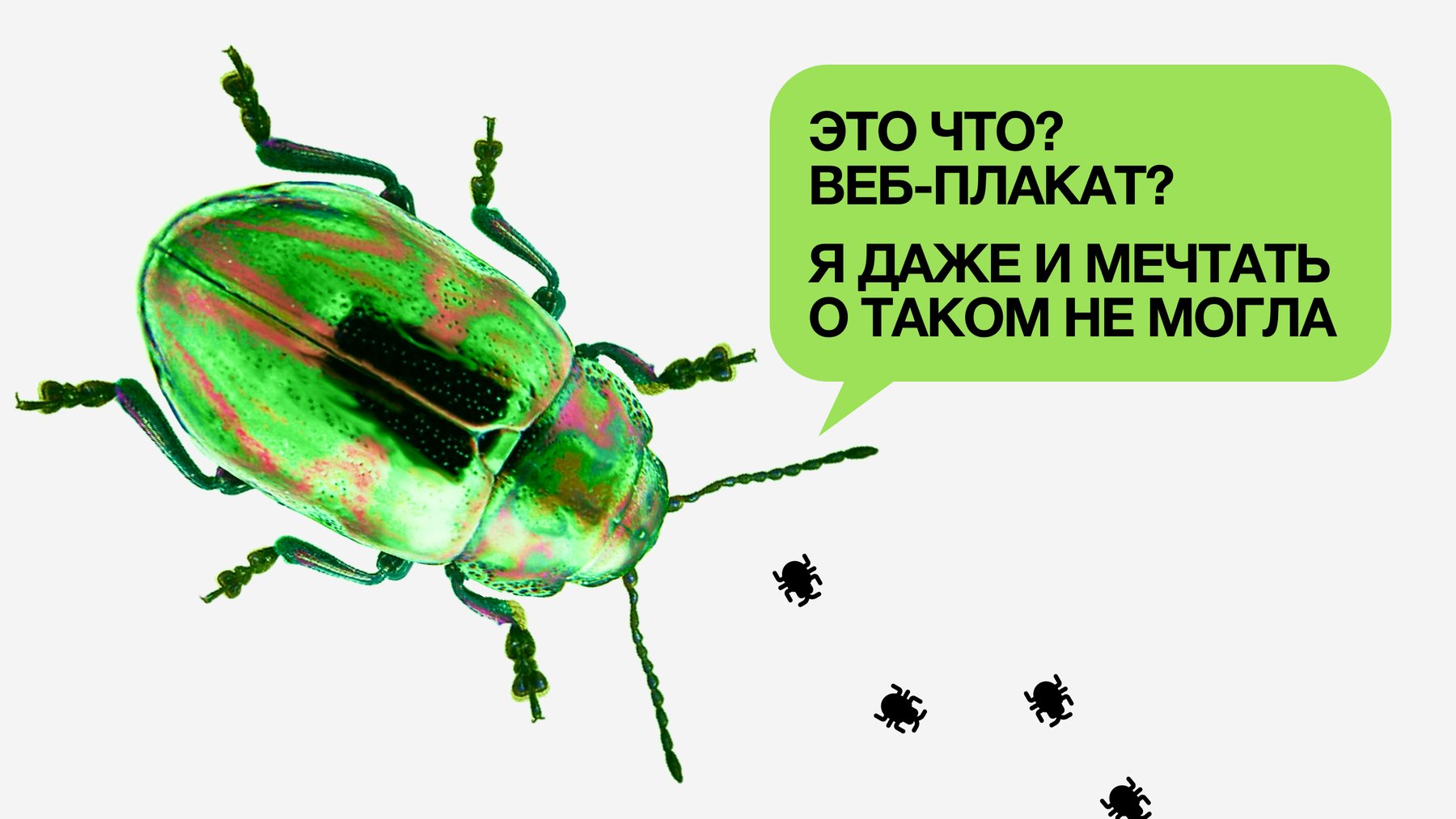 Веб-плакат школы балета для насекомых BUGS DANCE — Изображение №1 — Интерфейсы, Графика на Dprofile