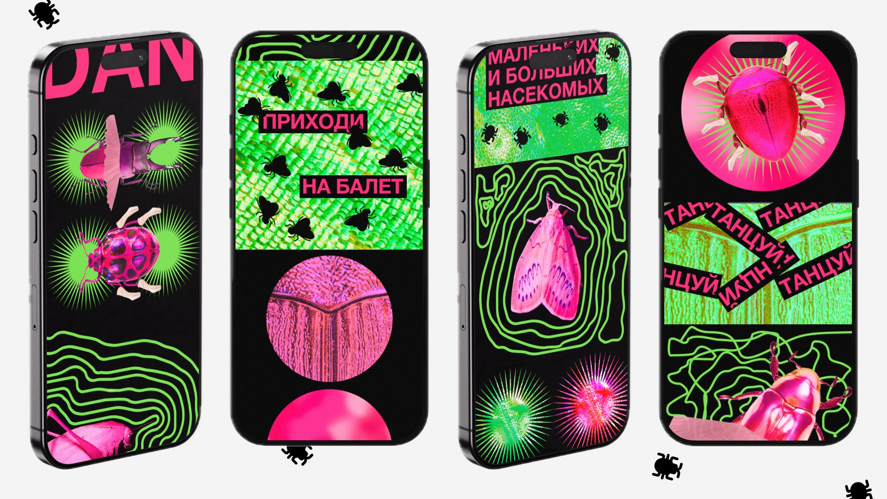 Веб-плакат школы балета для насекомых BUGS DANCE — Изображение №5 — Интерфейсы, Графика на Dprofile