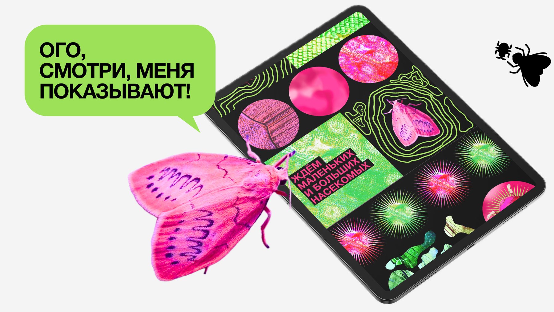 Веб-плакат школы балета для насекомых BUGS DANCE — Изображение №6 — Интерфейсы, Графика на Dprofile