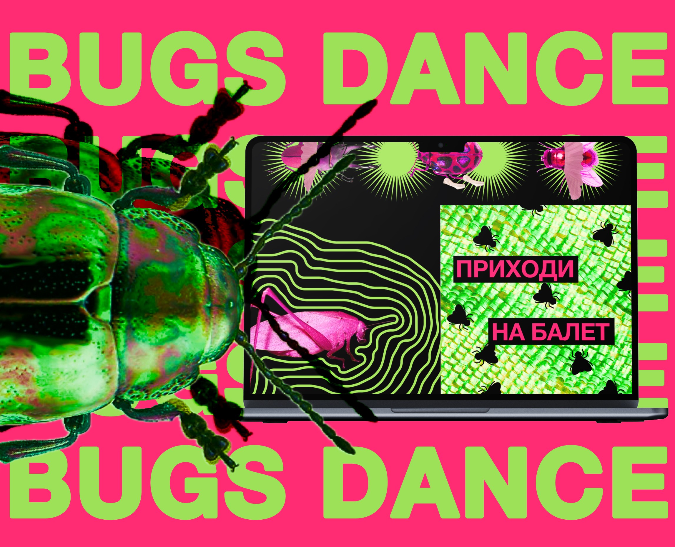 Веб-плакат школы балета для насекомых BUGS DANCE — Интерфейсы, Графика на Dprofile