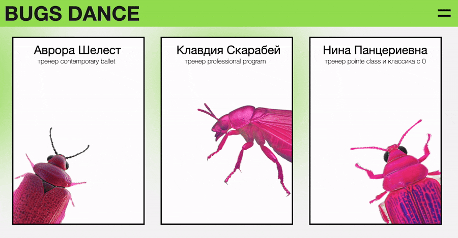 Многостраничный сайт школы балета для насекомых — Изображение №9 — Интерфейсы, Графика на Dprofile