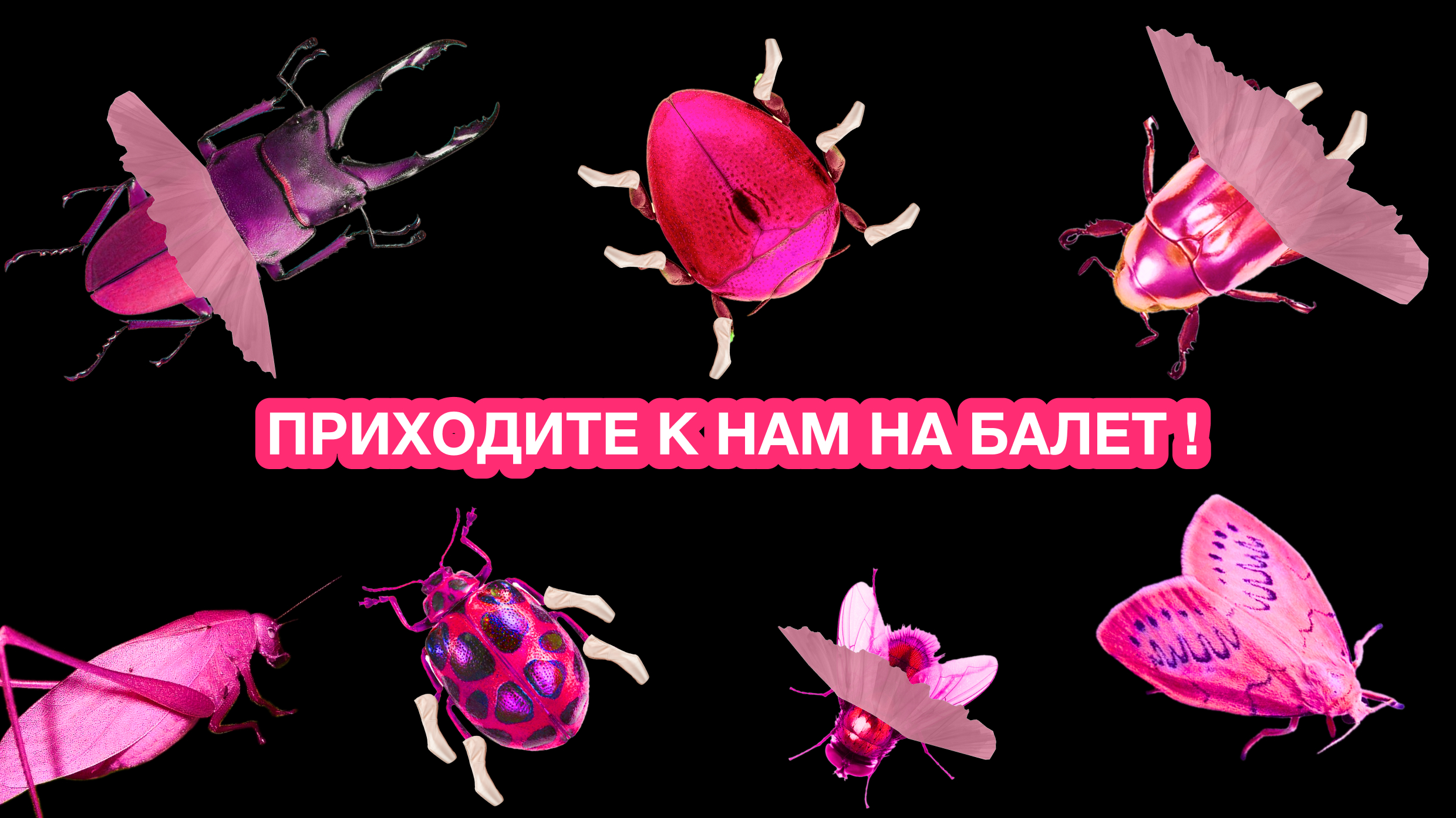 Презентация веб-плаката — Изображение №15 — Маркетинг на Dprofile