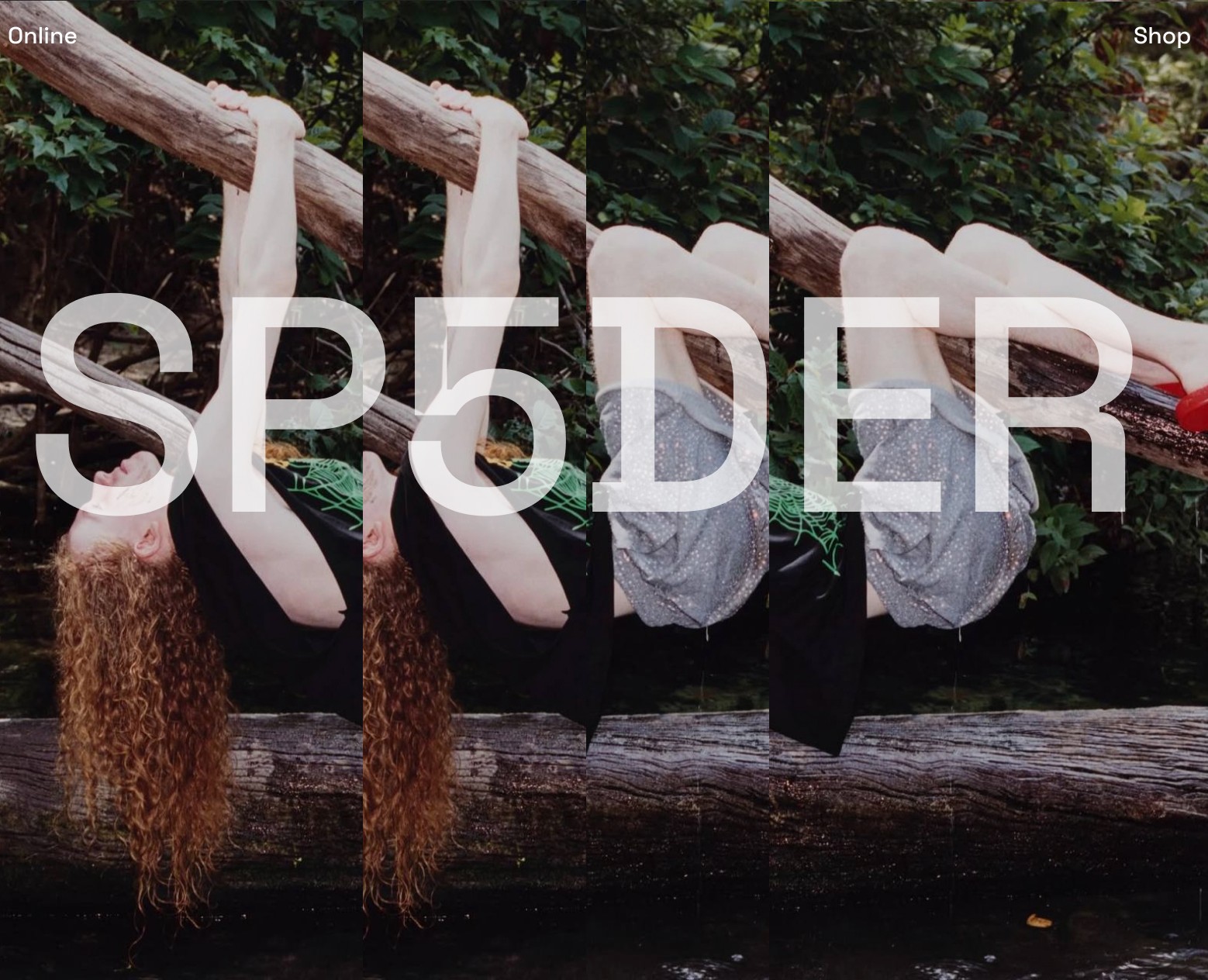 SP5DER | Online shop for street wear — Интерфейсы на Dprofile