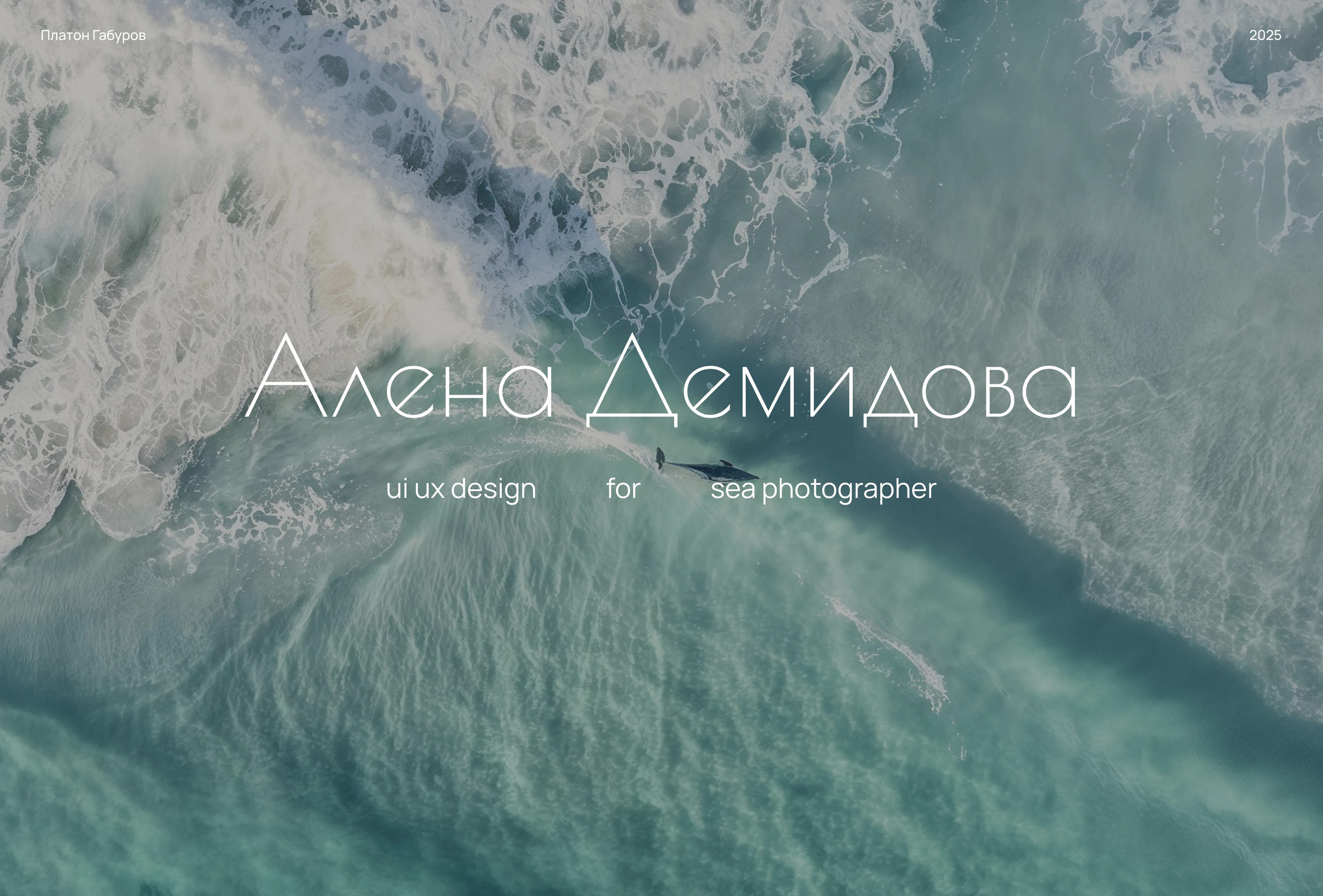 Website | for a Sea Photographer — Изображение №1 — Интерфейсы на Dprofile