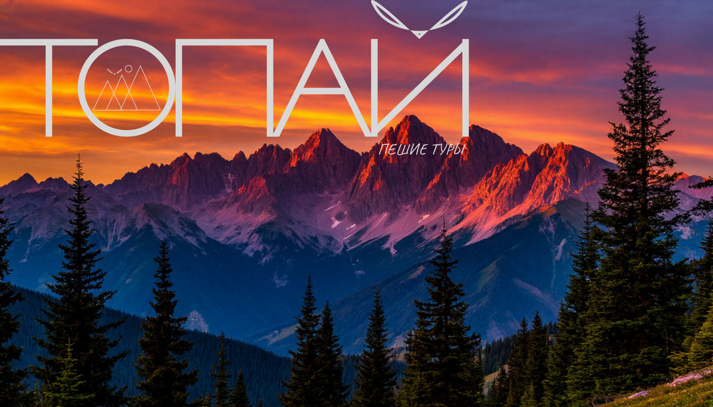 ТОПАЙ — Изображение №11 — Брендинг на Dprofile