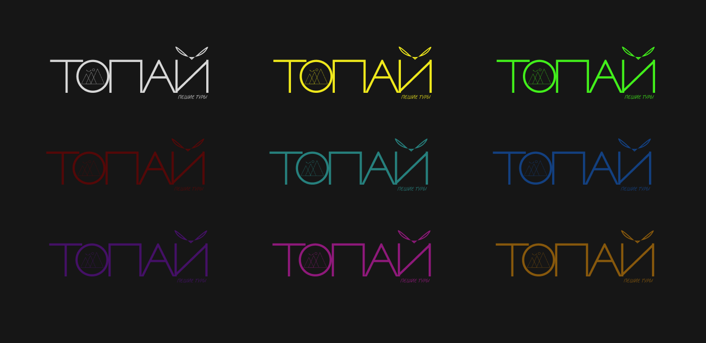 ТОПАЙ — Изображение №4 — Брендинг на Dprofile