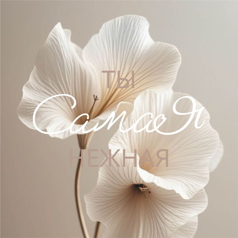 САМАЯ брэнд женской одежды — Изображение №12 — Брендинг на Dprofile