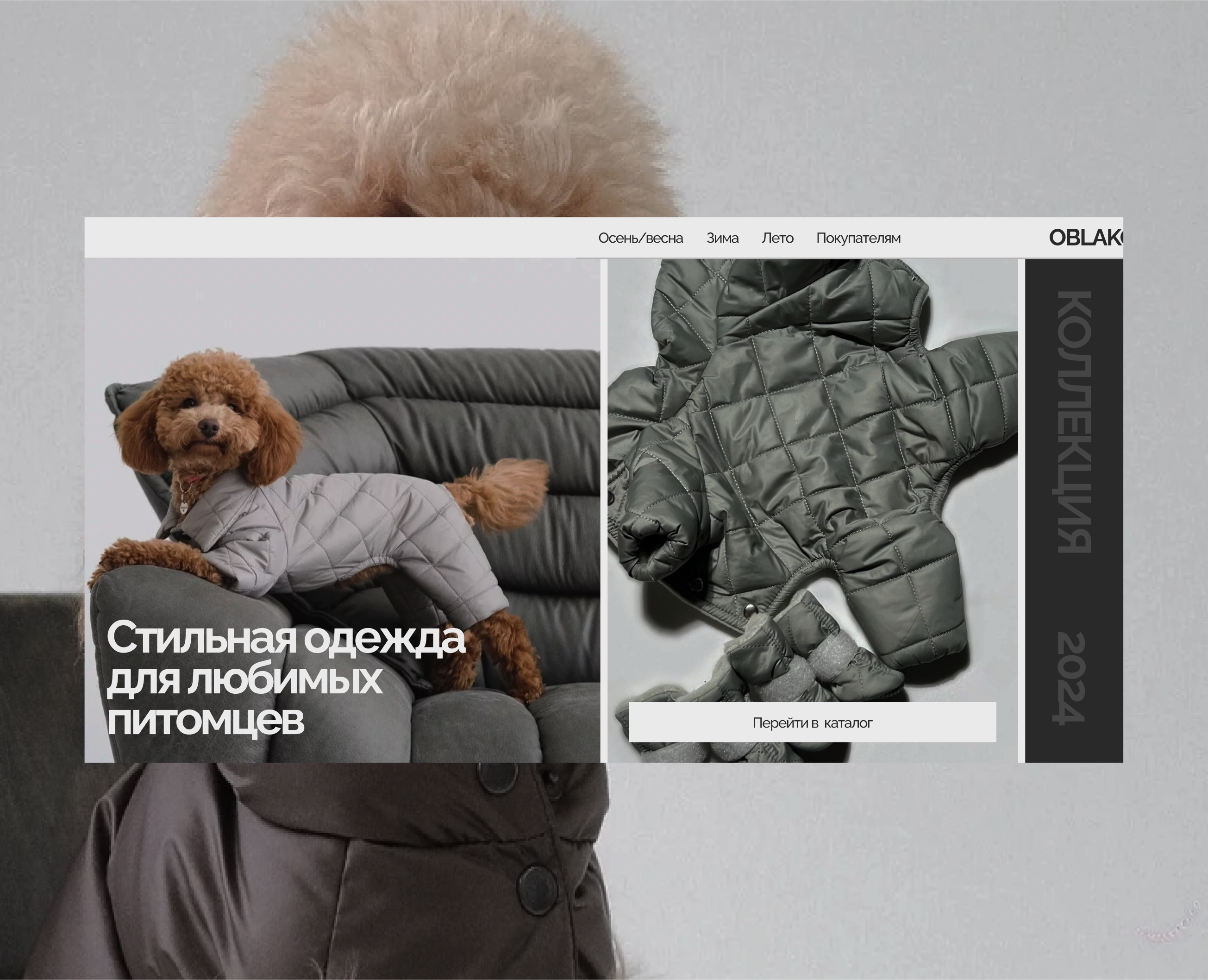 Концепт интернет-магазина одежды для собак — Интерфейсы на Dprofile