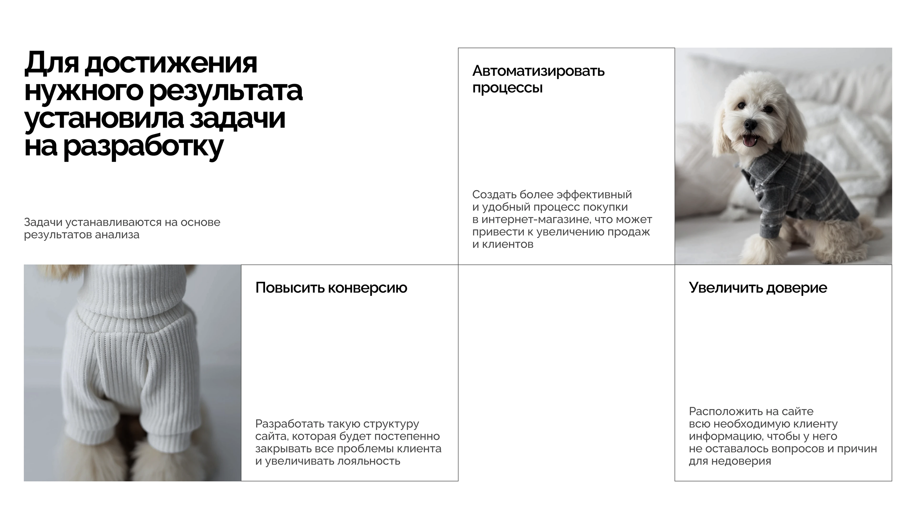 Концепт интернет-магазина одежды для собак — Изображение №3 — Интерфейсы на Dprofile
