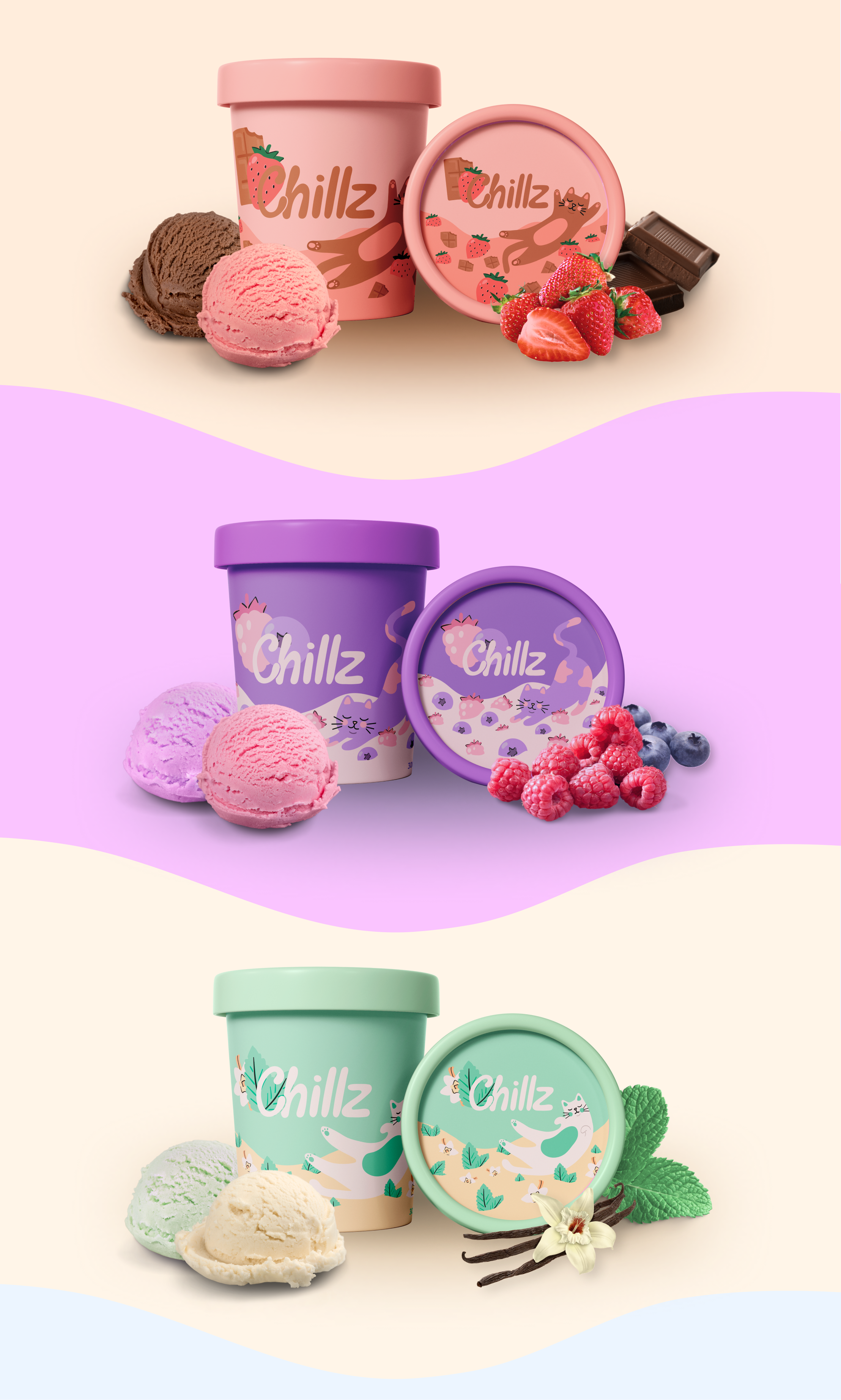 Фирменный стиль мороженого "Chillz" — Изображение №6 — Брендинг на Dprofile
