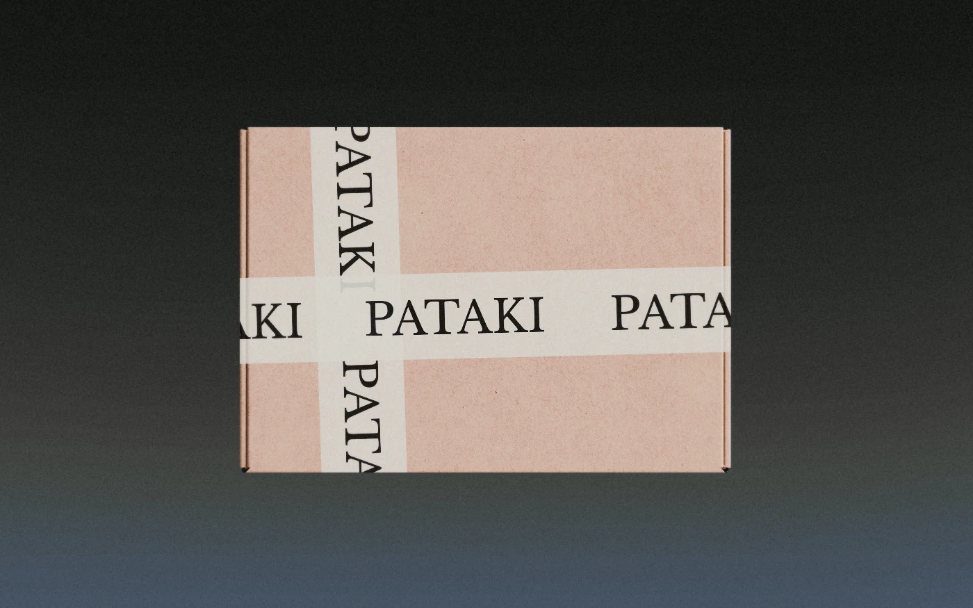 PATAKI — Visual Identity — Изображение №14 — Брендинг на Dprofile