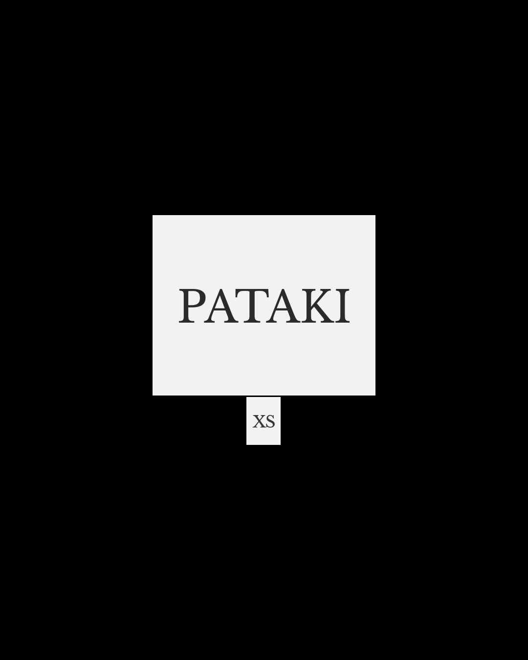 PATAKI — Visual Identity — Изображение №16 — Брендинг на Dprofile