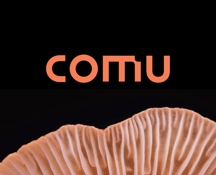 Comu: как мы сделали брендинг для грибного стартапа — Интерфейсы, Брендинг на Dprofile