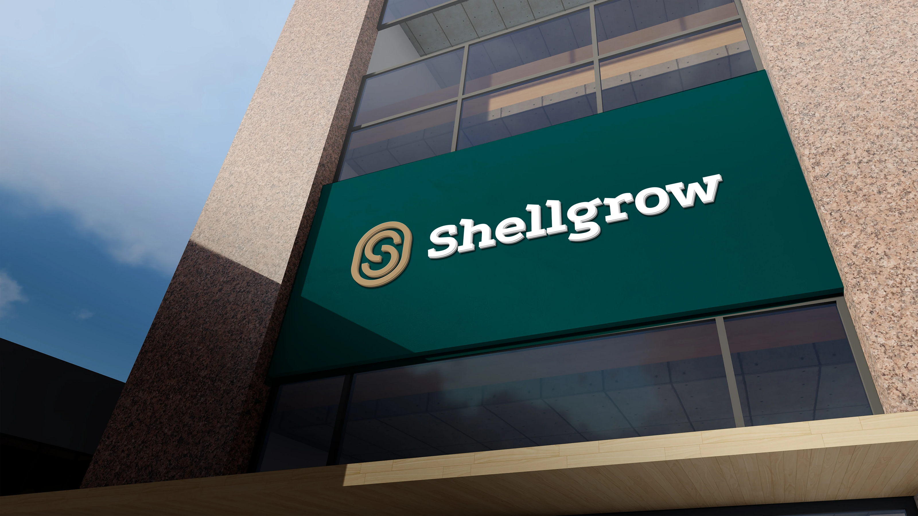 Shellgrow: управление активами на рынке Дубая — Изображение №10 — Брендинг на Dprofile