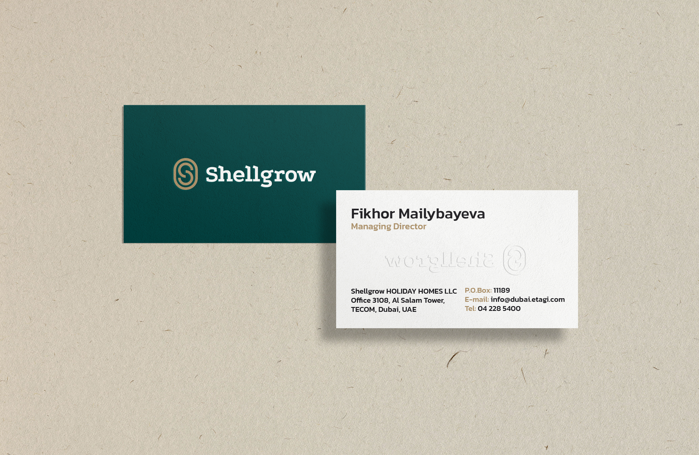 Shellgrow: управление активами на рынке Дубая — Изображение №13 — Брендинг на Dprofile