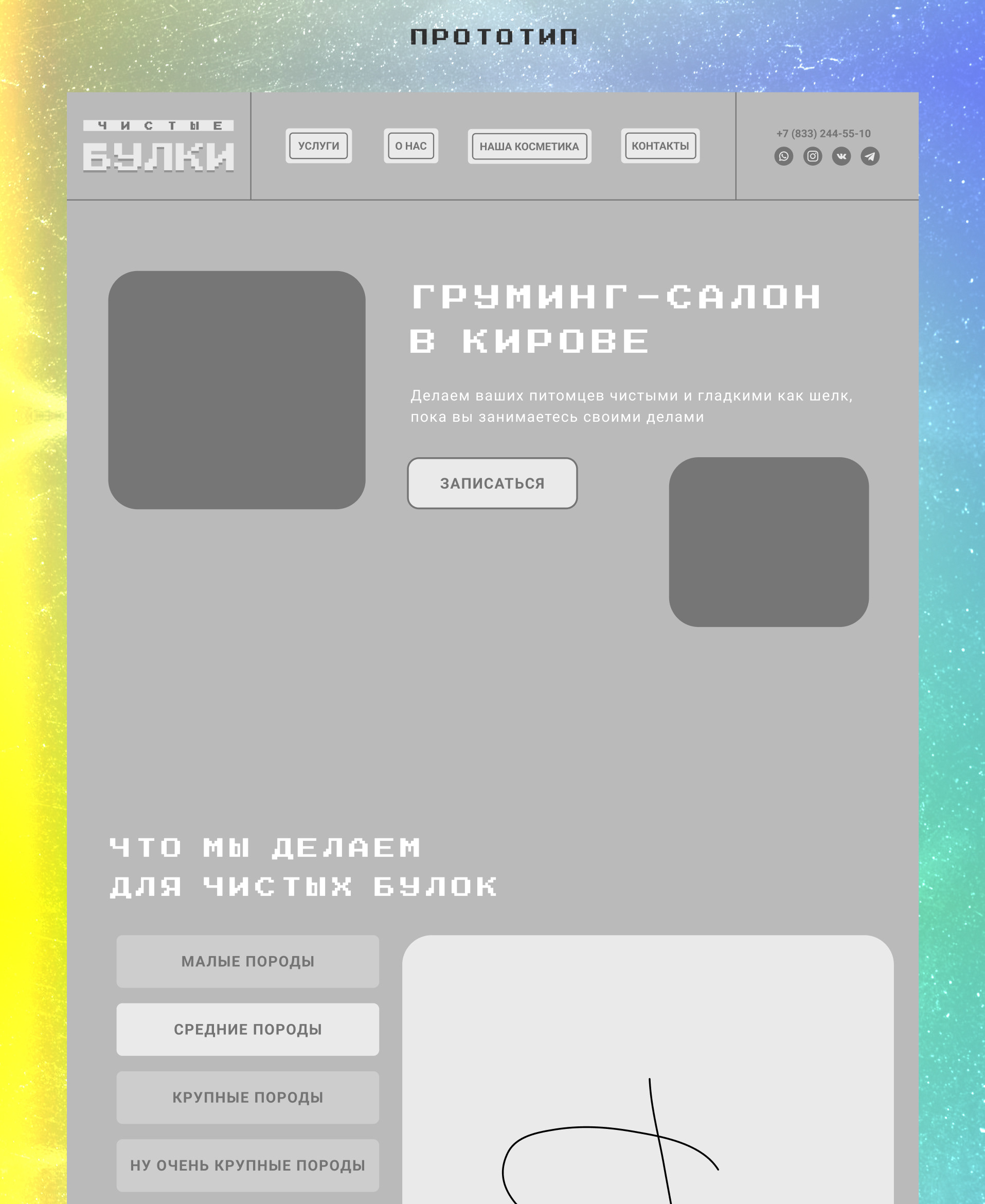 Груминг салон | Чистые булки | Landing page — Изображение №3 — Интерфейсы, Иллюстрация на Dprofile