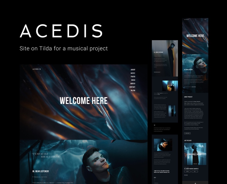 Site for musical project Acedis | Tilda — Интерфейсы, Анимация на Dprofile