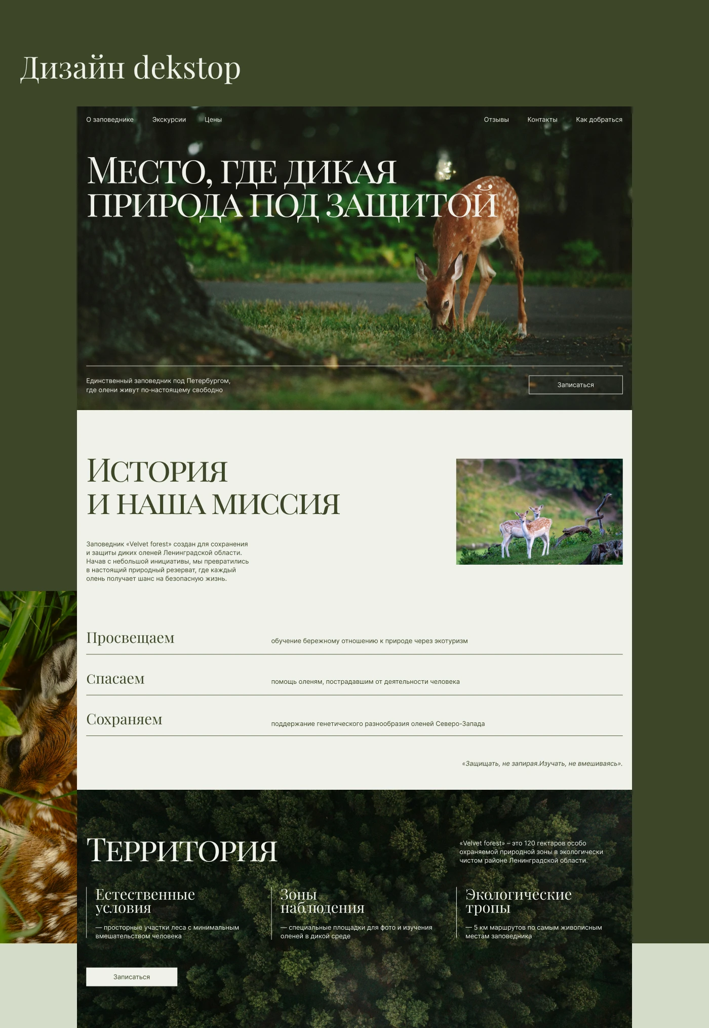 Лендинг для заповедника "Velvet forest" — Изображение №6 — Интерфейсы на Dprofile