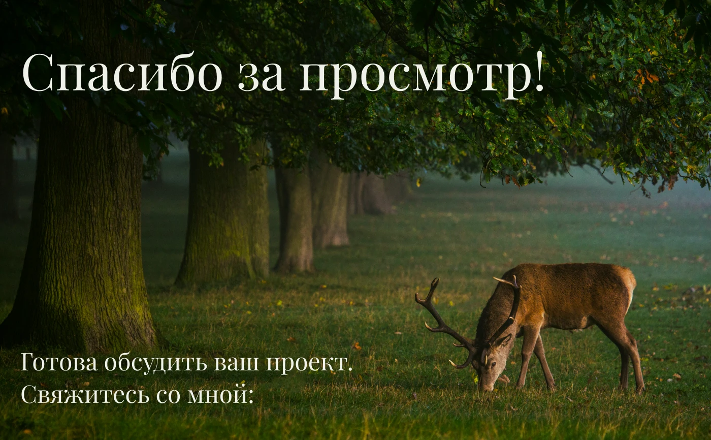 Лендинг для заповедника "Velvet forest" — Изображение №10 — Интерфейсы на Dprofile