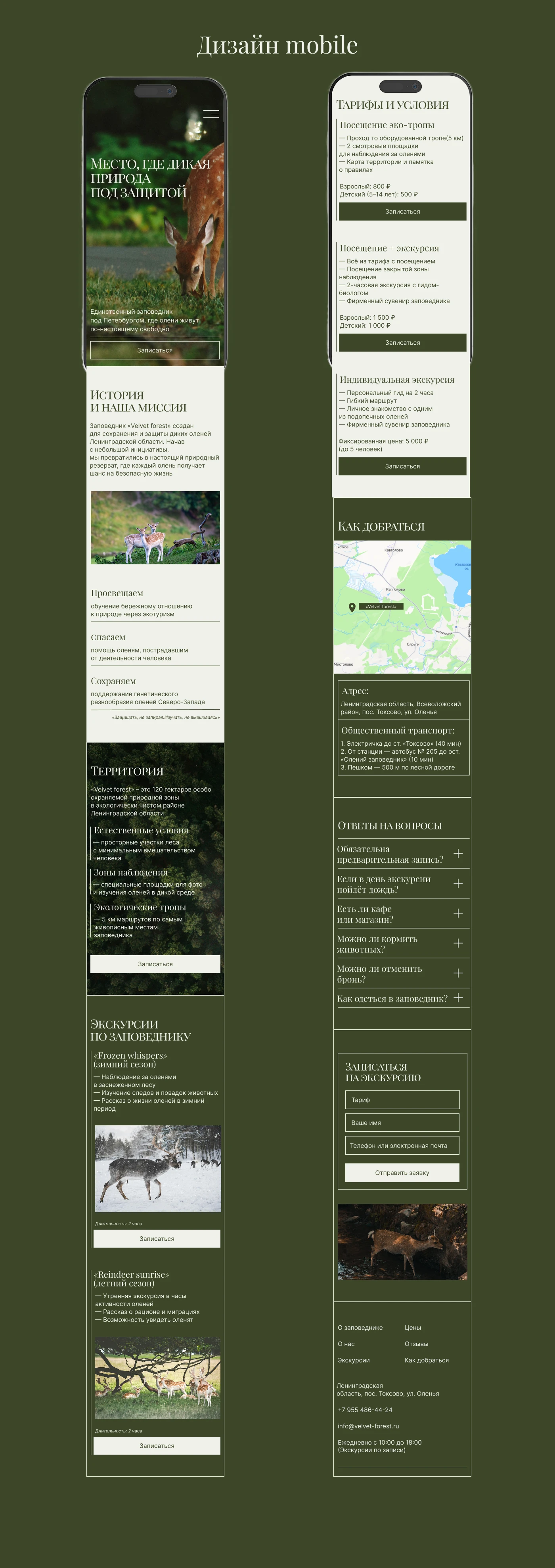 Лендинг для заповедника "Velvet forest" — Изображение №9 — Интерфейсы на Dprofile