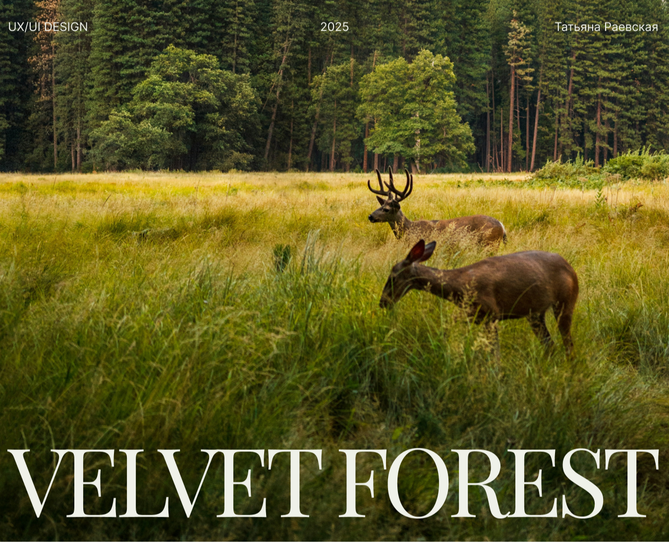 Лендинг для заповедника "Velvet forest" — Интерфейсы на Dprofile