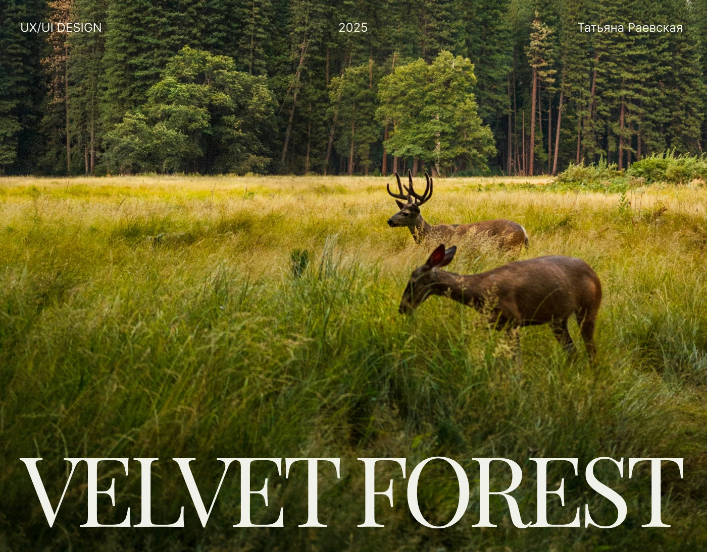 Лендинг для заповедника "Velvet forest" — Изображение №1 — Интерфейсы на Dprofile