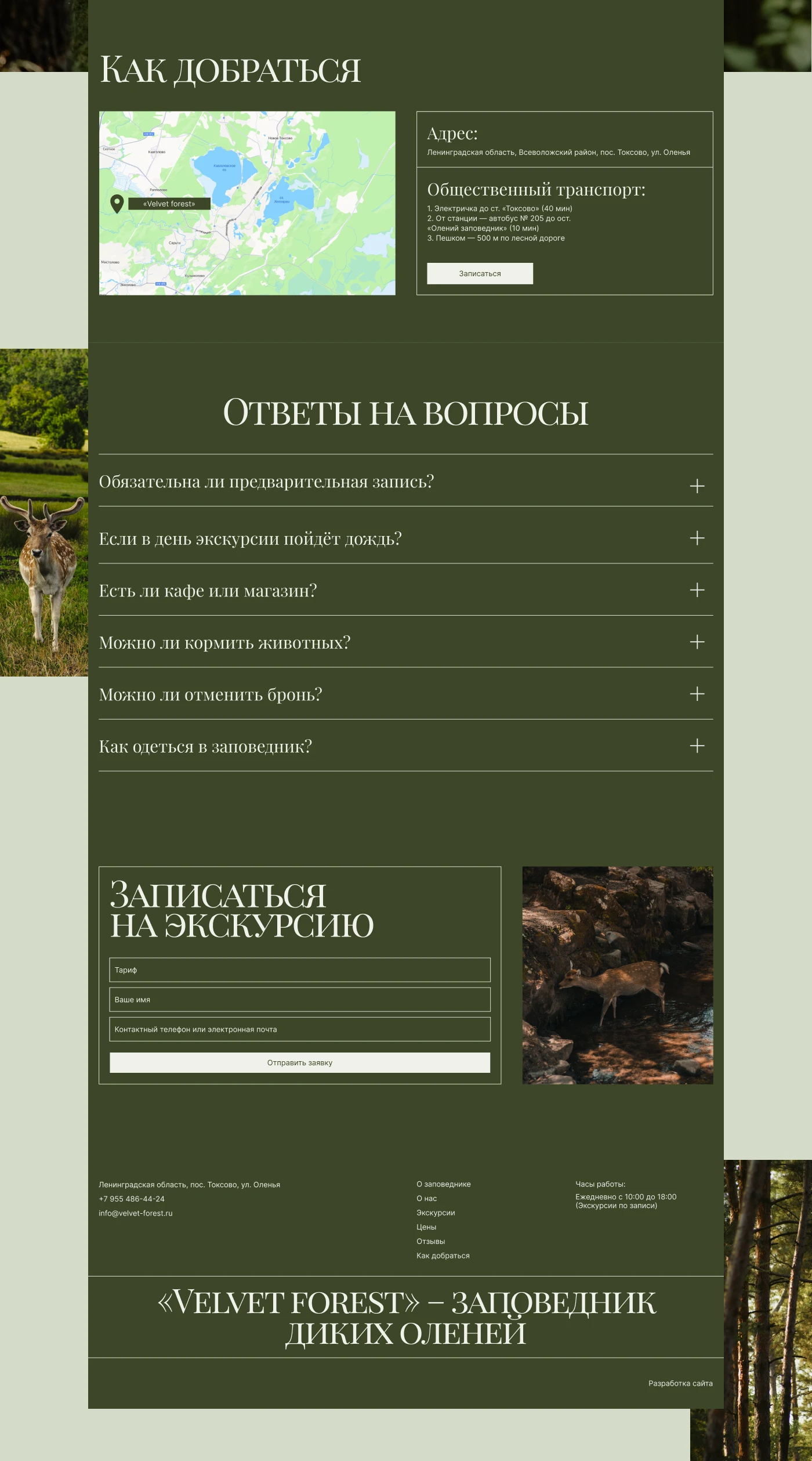 Лендинг для заповедника "Velvet forest" — Изображение №8 — Интерфейсы на Dprofile