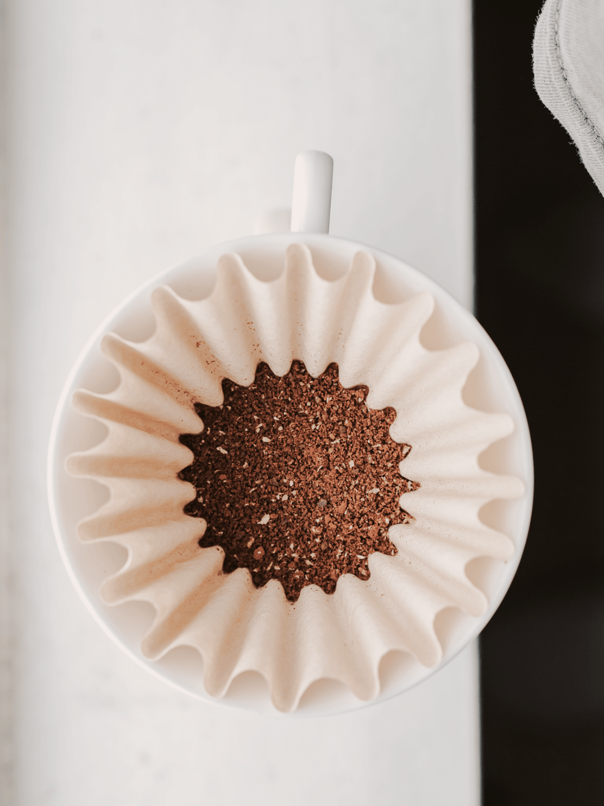 SMOLOT COFFEE — Изображение №4 — Брендинг, Иллюстрация на Dprofile