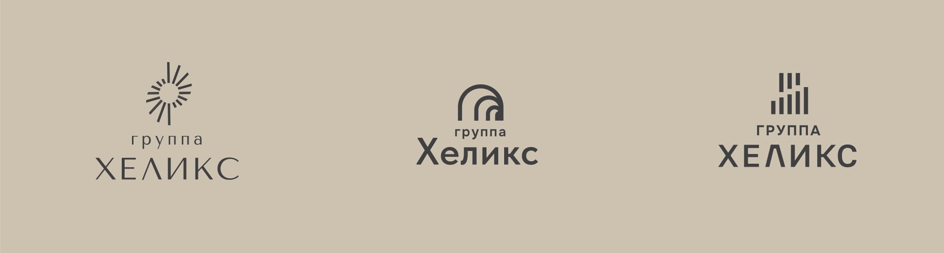 Разработка фирменного стиля группы «Хеликс» — Изображение №4 — Брендинг на Dprofile
