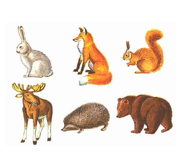 Создание логотипа для команды веб-разработчиков IT-animals — Изображение №5 — Брендинг на Dprofile