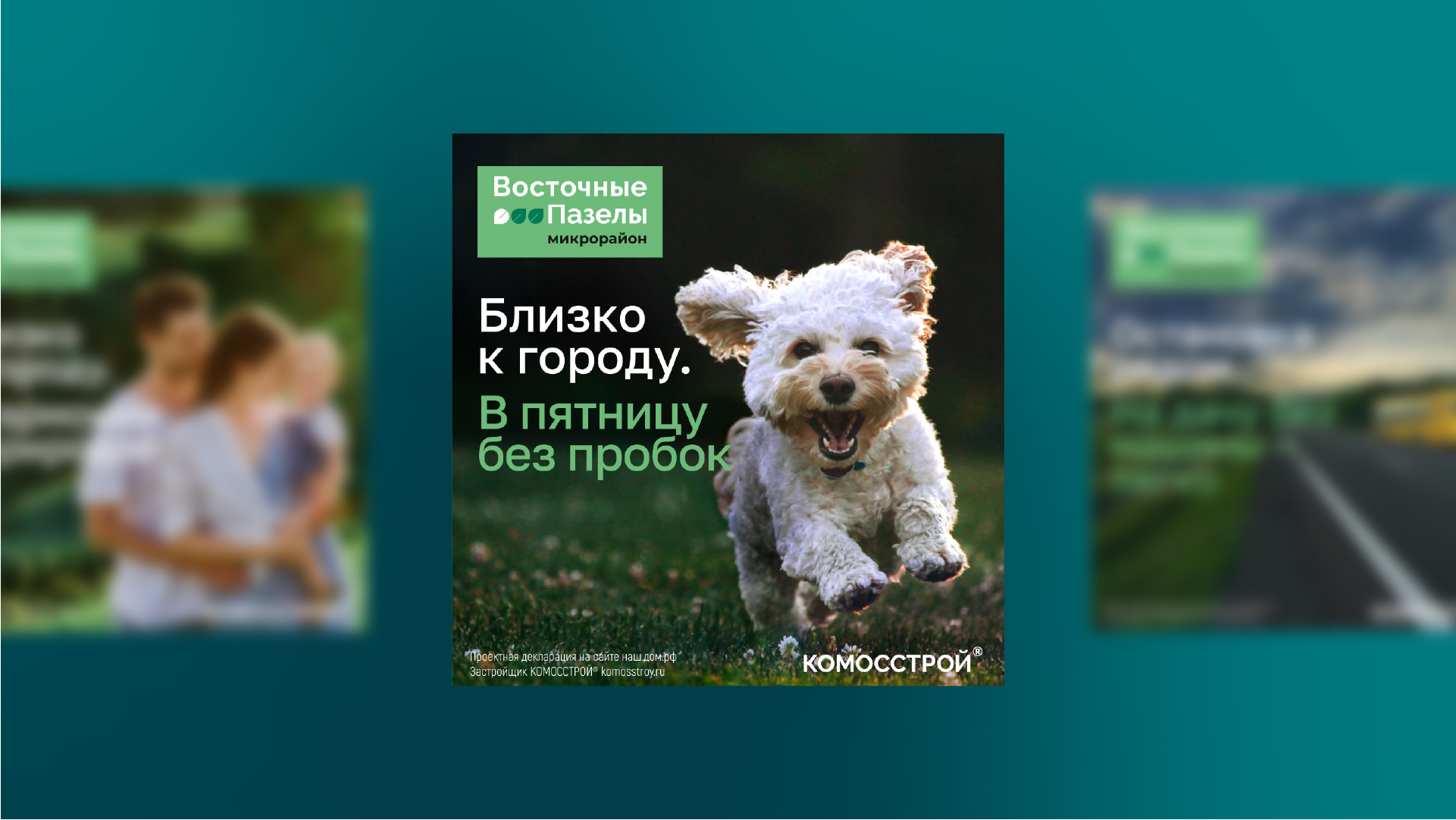 Логотип и РК для земельных участков «Восточные Пазелы» — Изображение №4 — Брендинг, Маркетинг на Dprofile