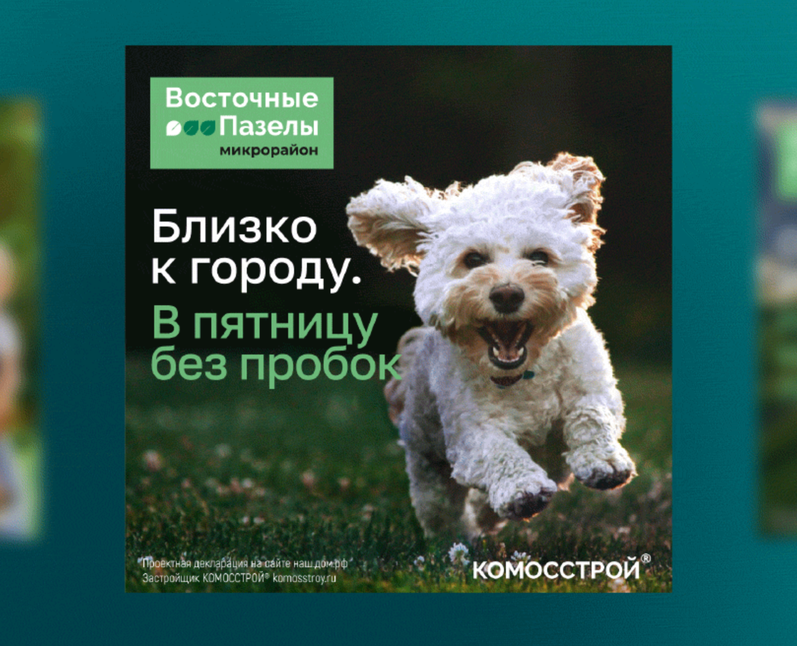 Логотип и РК для земельных участков «Восточные Пазелы» — Брендинг, Маркетинг на Dprofile
