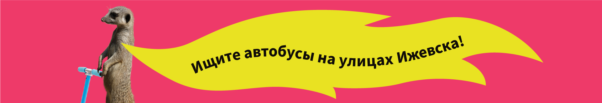Креатив на автобусах: РК для магазина «Центр Обои» — Изображение №11 — Брендинг, Маркетинг на Dprofile