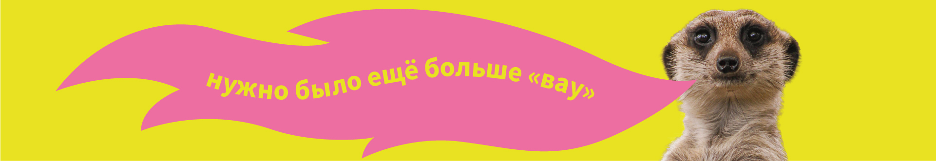 Креатив на автобусах: РК для магазина «Центр Обои» — Изображение №3 — Брендинг, Маркетинг на Dprofile