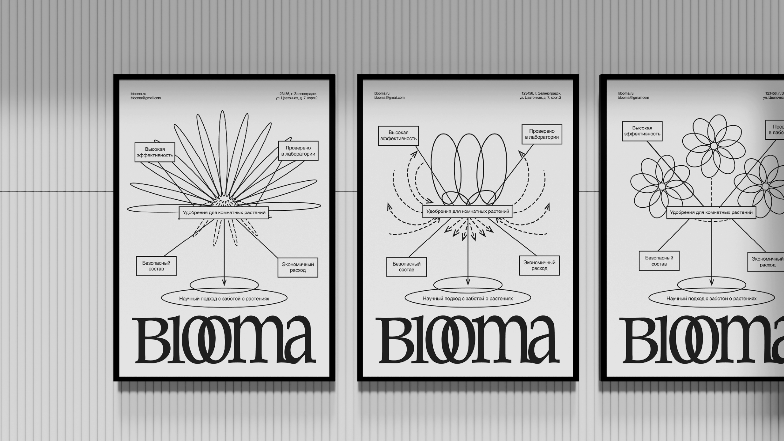 BLOOMA: брендинг — Изображение №2 — Брендинг на Dprofile