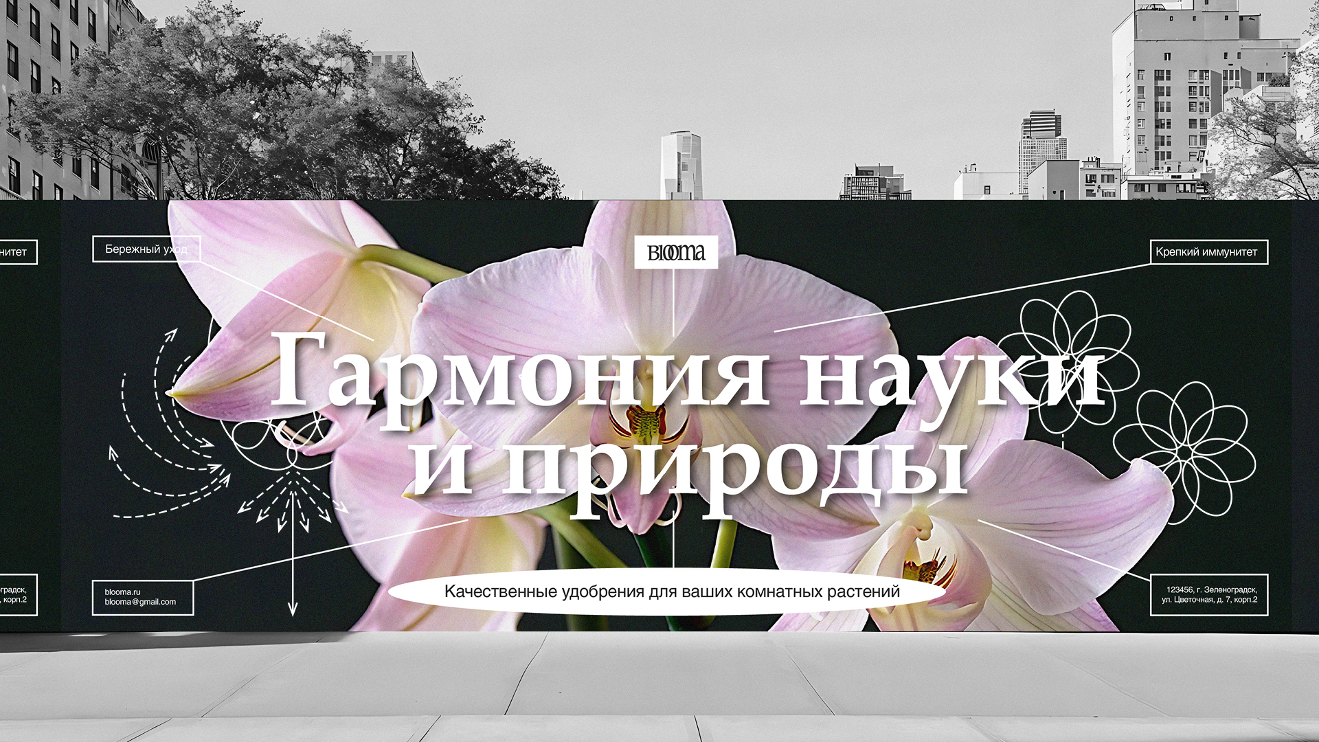 BLOOMA: брендинг — Изображение №7 — Брендинг на Dprofile