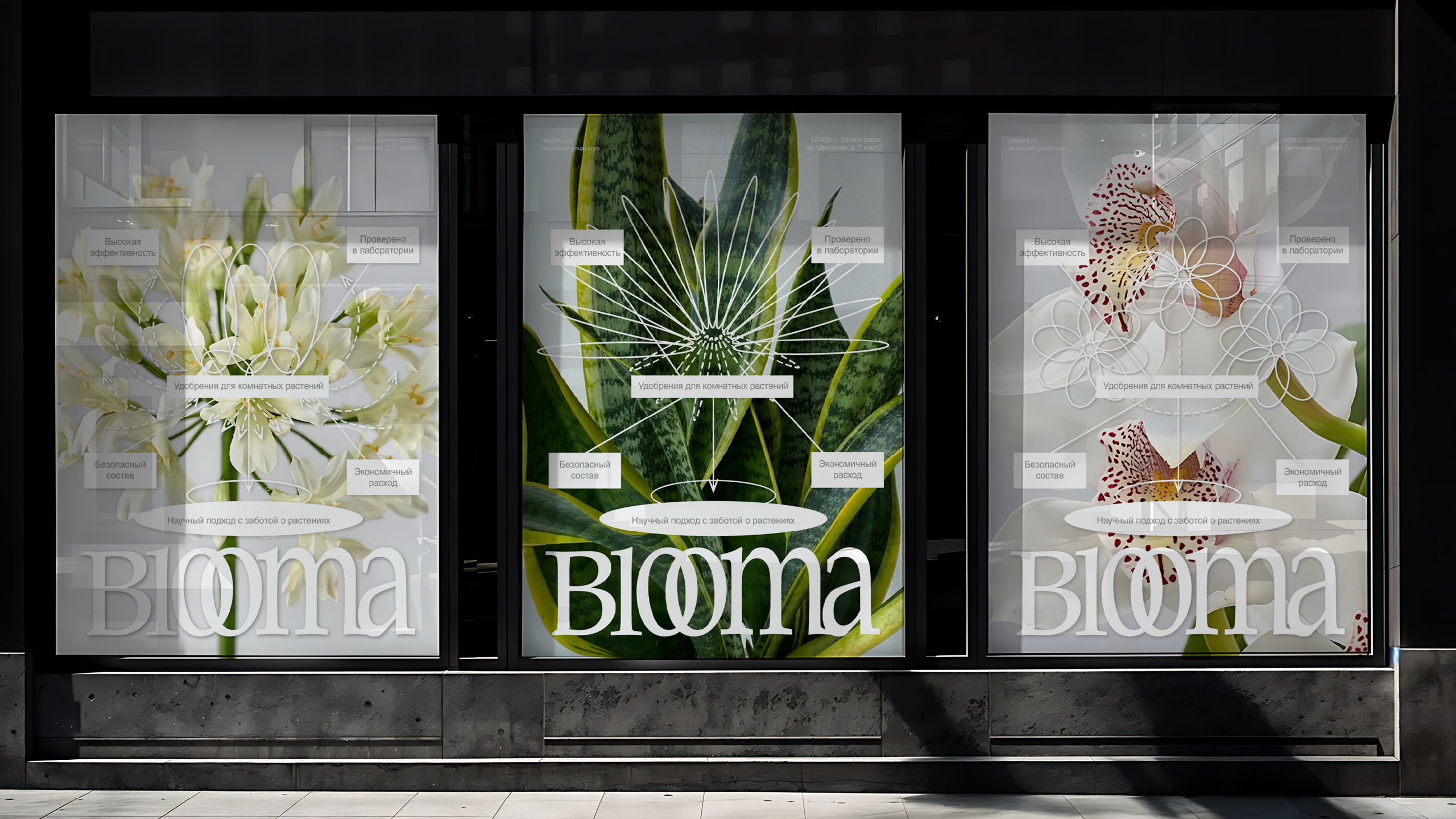 BLOOMA: брендинг — Изображение №5 — Брендинг на Dprofile
