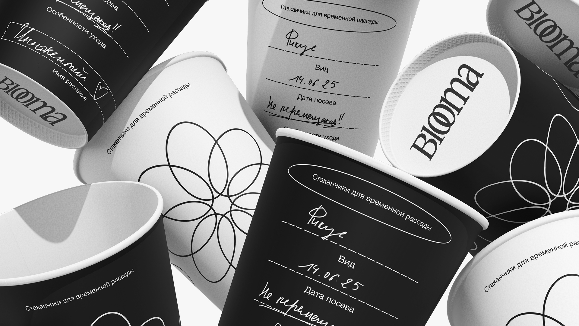 BLOOMA: брендинг — Изображение №16 — Брендинг на Dprofile