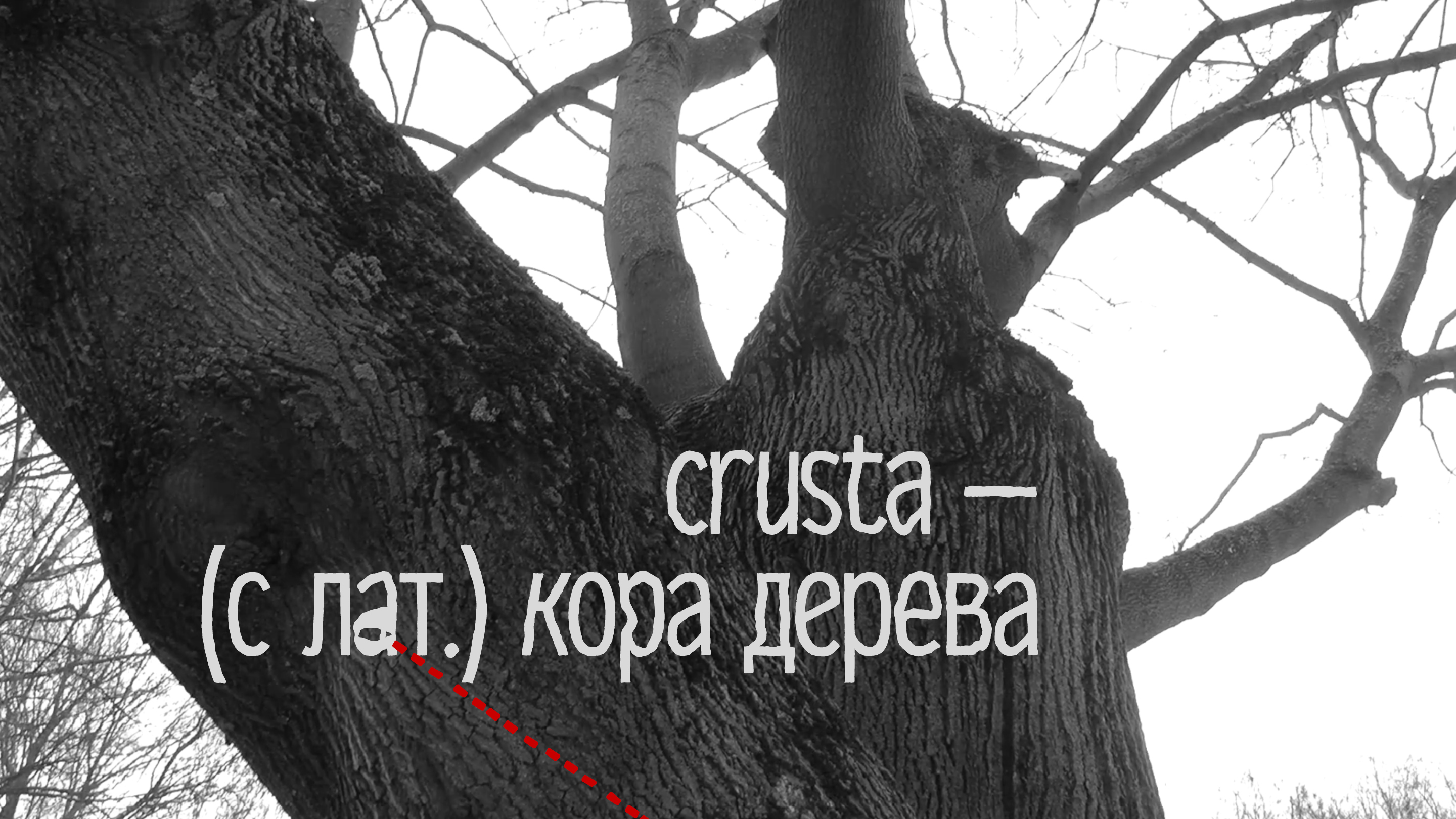 Crusta Font — Изображение №2 — Брендинг, Графика на Dprofile