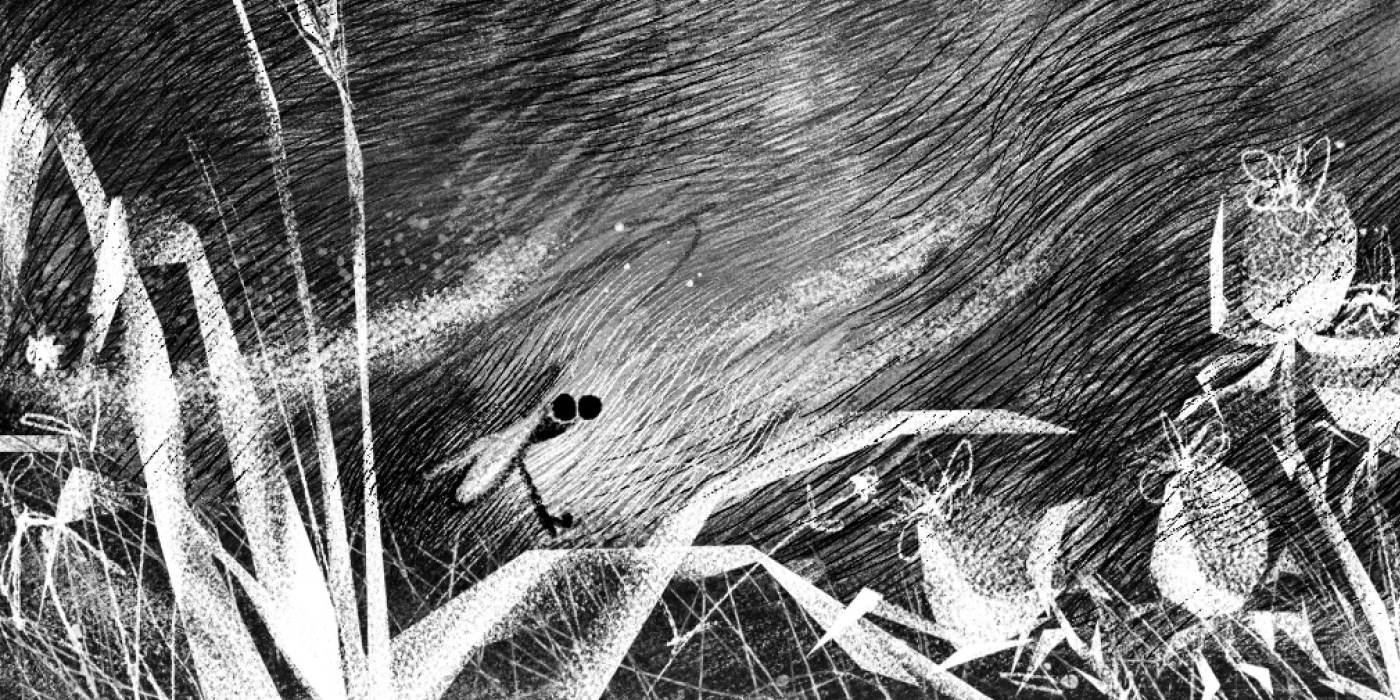 Иллюстрации "Стрекоза и муравей" — Изображение №3 — Иллюстрация на Dprofile