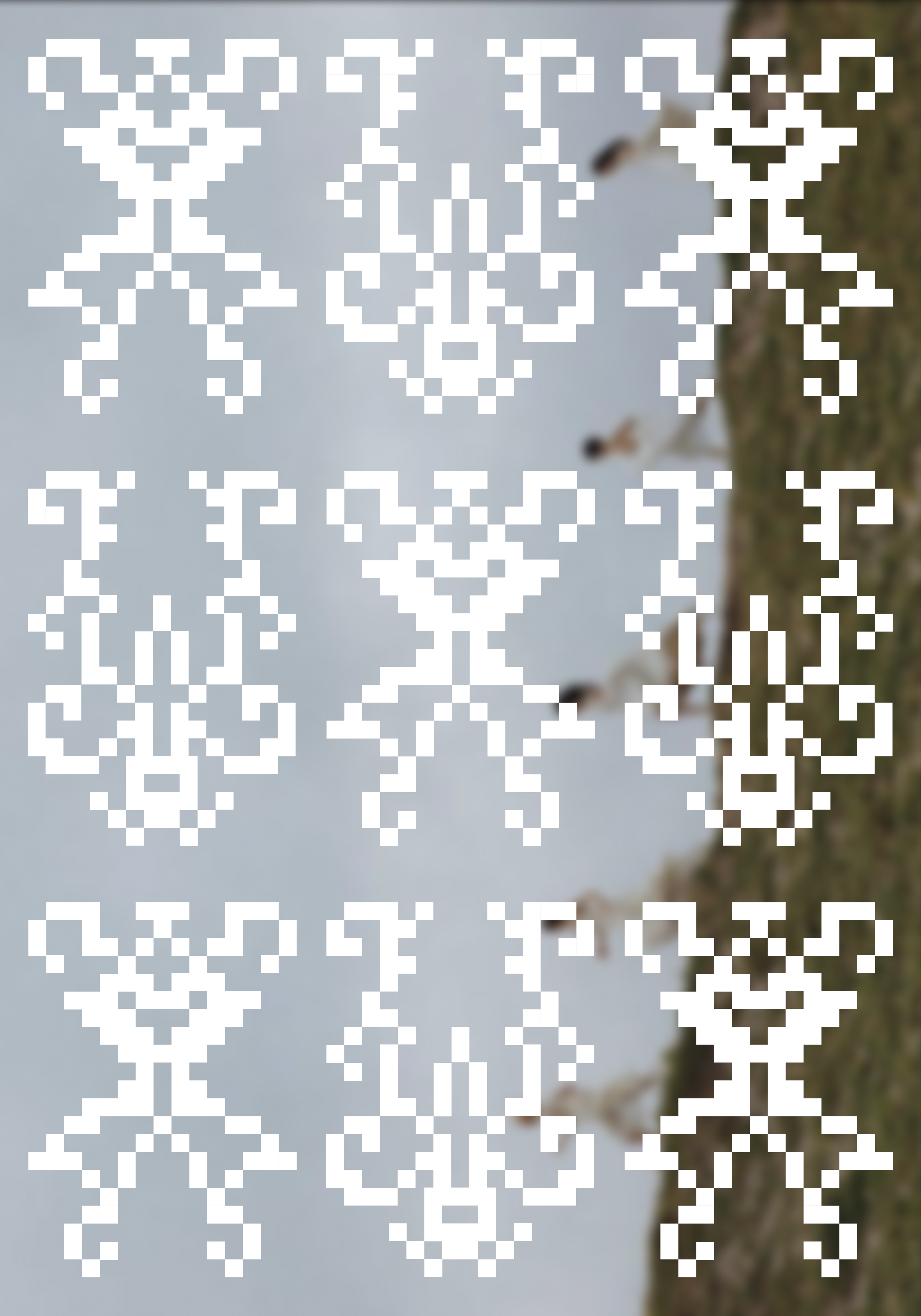 Золь |  брендинг — Изображение №3 — Брендинг, Графика на Dprofile