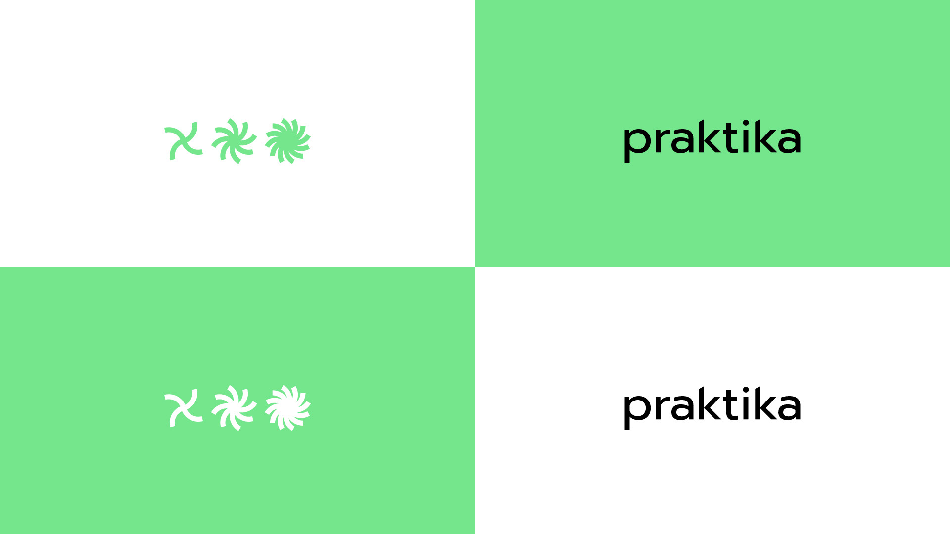 Praktika — служба доставки — Изображение №4 — Брендинг на Dprofile