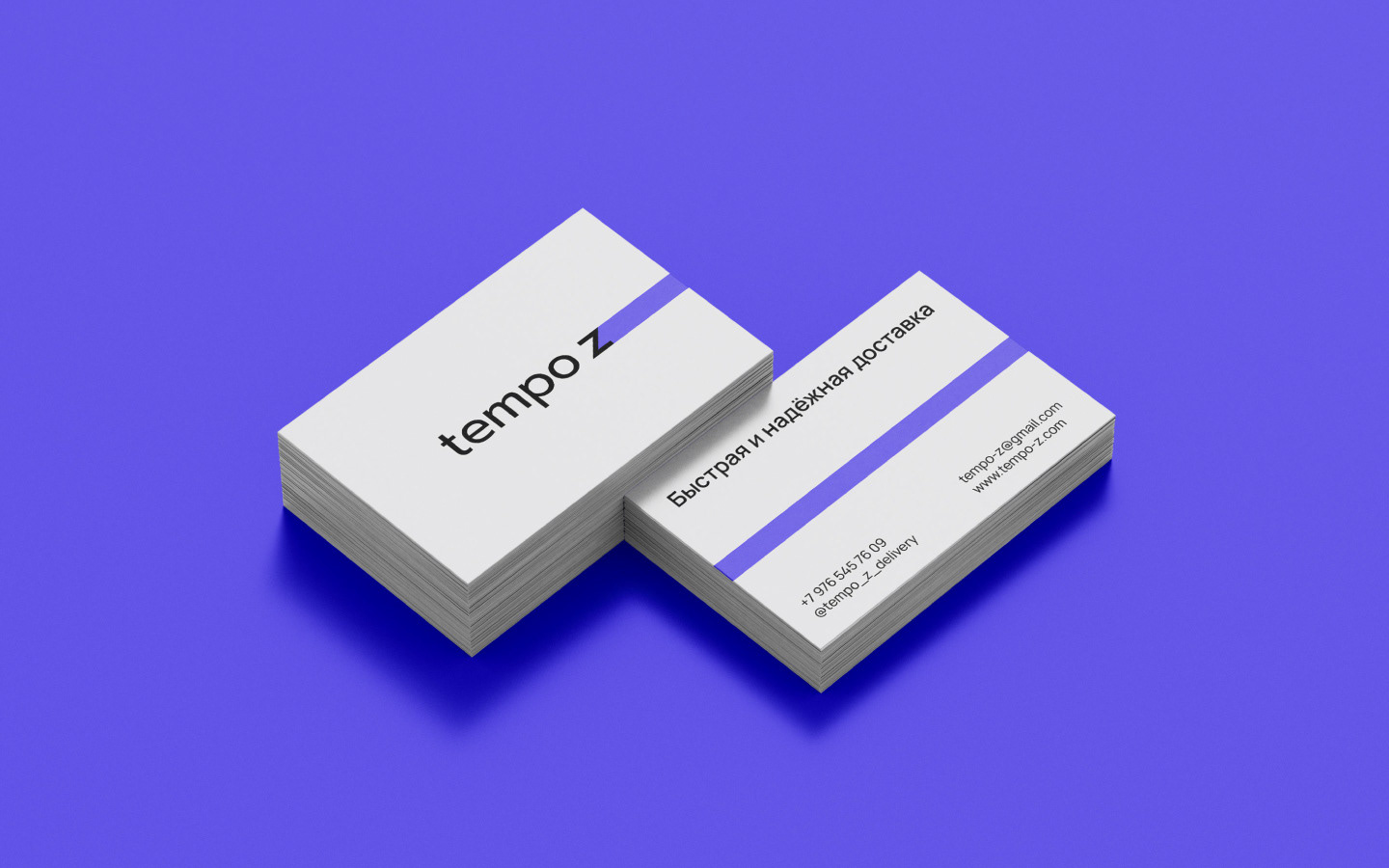 Служба доставки | Tempo Z — Изображение №3 — Брендинг на Dprofile