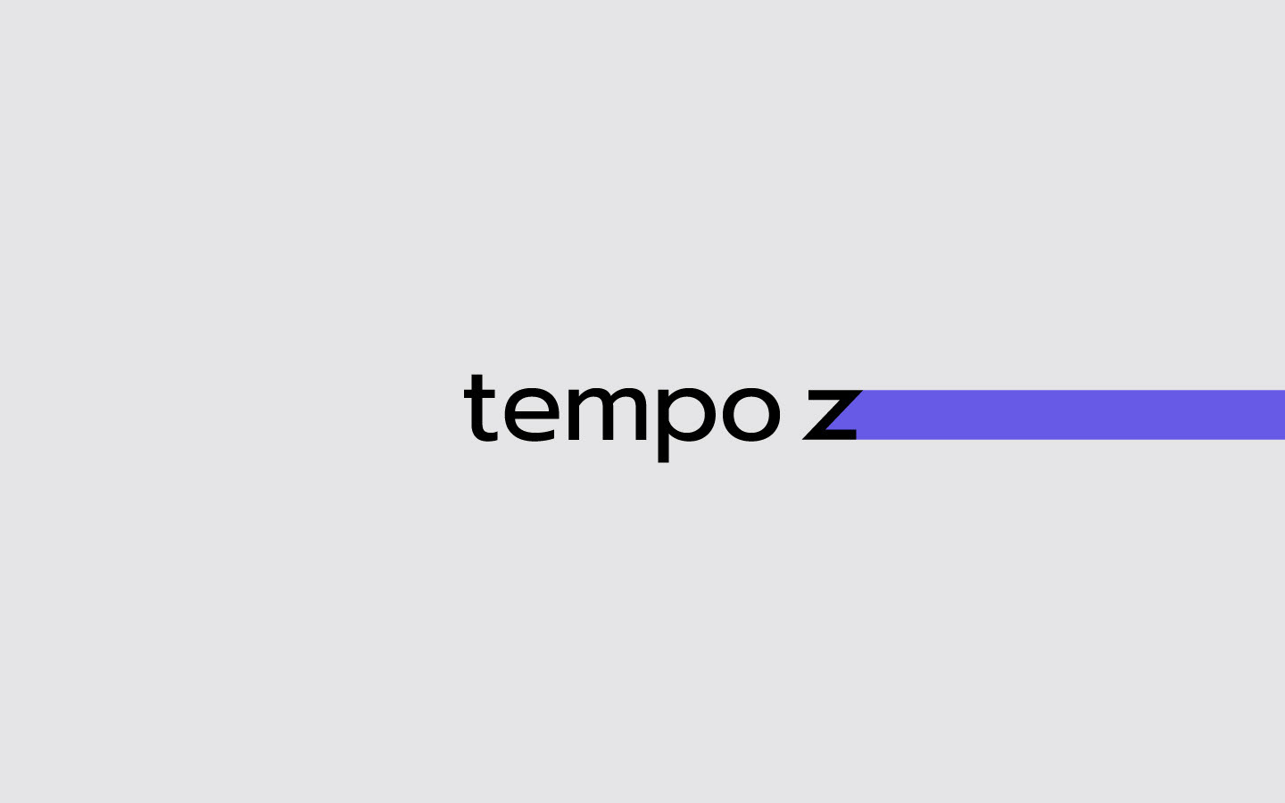 Служба доставки | Tempo Z — Изображение №2 — Брендинг на Dprofile