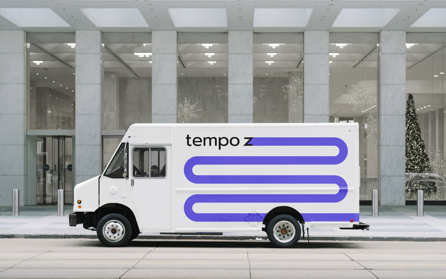 Служба доставки | Tempo Z — Изображение №17 — Брендинг на Dprofile