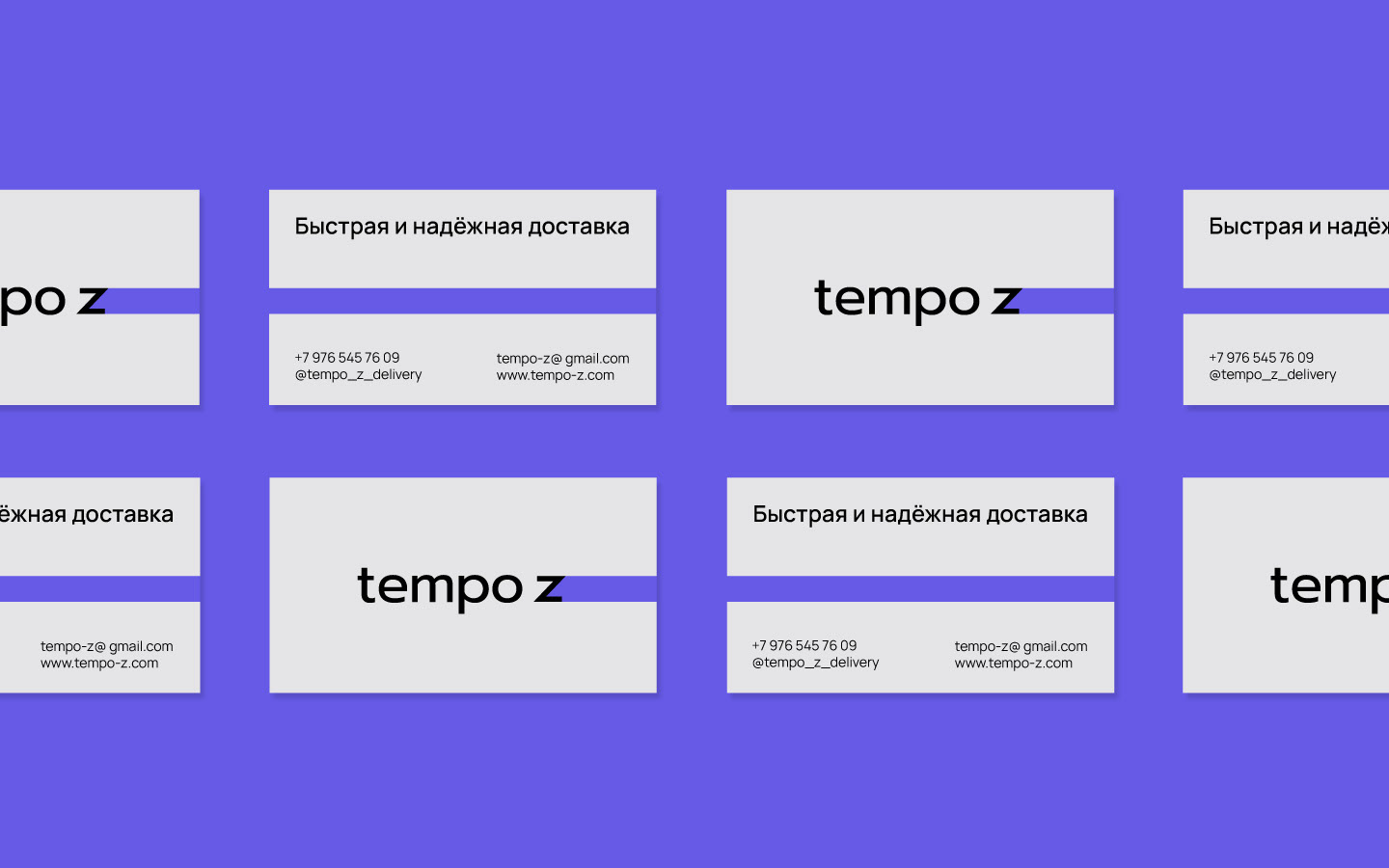 Служба доставки | Tempo Z — Изображение №10 — Брендинг на Dprofile