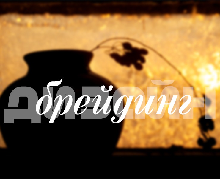 Портфолио — Брендинг на Dprofile